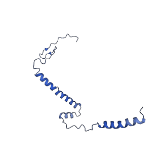 14133_7qsl_i_v1-1
Bovine complex I in lipid nanodisc, Active-apo