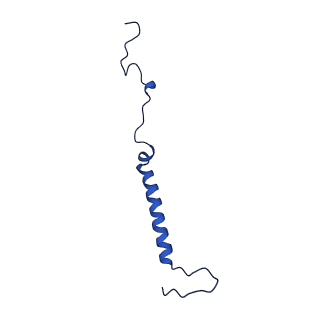 14133_7qsl_j_v1-1
Bovine complex I in lipid nanodisc, Active-apo