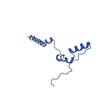 14133_7qsl_k_v1-1
Bovine complex I in lipid nanodisc, Active-apo