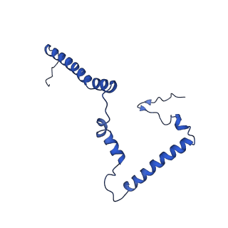 14133_7qsl_m_v1-1
Bovine complex I in lipid nanodisc, Active-apo