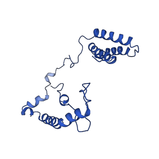 14133_7qsl_n_v1-1
Bovine complex I in lipid nanodisc, Active-apo