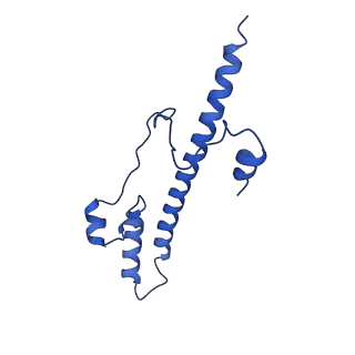 14133_7qsl_o_v1-1
Bovine complex I in lipid nanodisc, Active-apo