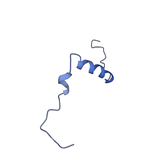 14133_7qsl_s_v1-1
Bovine complex I in lipid nanodisc, Active-apo