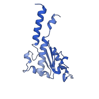 14139_7qsn_B_v1-1
Bovine complex I in lipid nanodisc, Deactive-apo