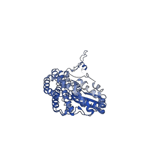 14139_7qsn_D_v1-1
Bovine complex I in lipid nanodisc, Deactive-apo