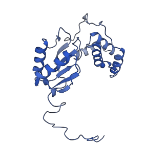 14139_7qsn_E_v1-1
Bovine complex I in lipid nanodisc, Deactive-apo