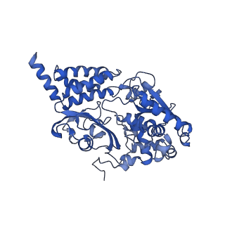 14139_7qsn_F_v1-1
Bovine complex I in lipid nanodisc, Deactive-apo