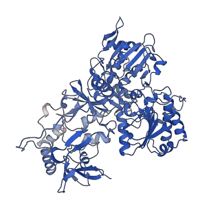 14139_7qsn_G_v1-1
Bovine complex I in lipid nanodisc, Deactive-apo