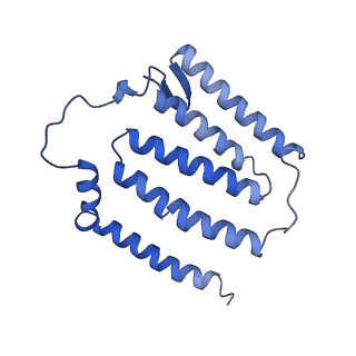 14139_7qsn_J_v1-1
Bovine complex I in lipid nanodisc, Deactive-apo