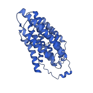 14139_7qsn_N_v1-1
Bovine complex I in lipid nanodisc, Deactive-apo