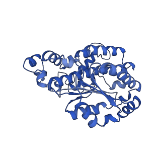 14139_7qsn_O_v1-1
Bovine complex I in lipid nanodisc, Deactive-apo