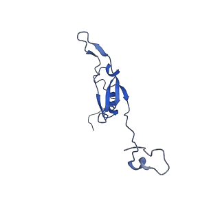 14139_7qsn_Q_v1-1
Bovine complex I in lipid nanodisc, Deactive-apo