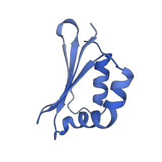 14139_7qsn_S_v1-1
Bovine complex I in lipid nanodisc, Deactive-apo