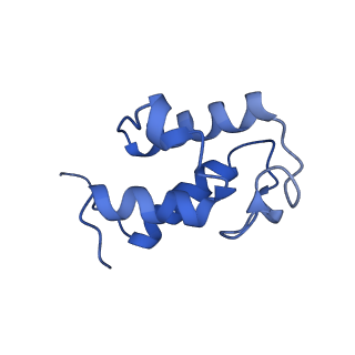 14139_7qsn_U_v1-1
Bovine complex I in lipid nanodisc, Deactive-apo