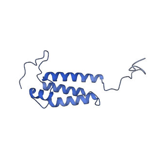 14139_7qsn_V_v1-1
Bovine complex I in lipid nanodisc, Deactive-apo