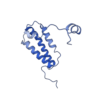 14139_7qsn_W_v1-1
Bovine complex I in lipid nanodisc, Deactive-apo