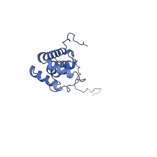 14139_7qsn_X_v1-1
Bovine complex I in lipid nanodisc, Deactive-apo