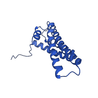 14139_7qsn_Y_v1-1
Bovine complex I in lipid nanodisc, Deactive-apo