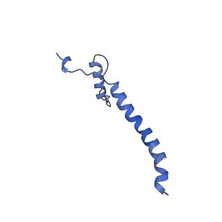 14139_7qsn_a_v1-1
Bovine complex I in lipid nanodisc, Deactive-apo