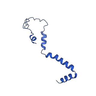 14139_7qsn_b_v1-1
Bovine complex I in lipid nanodisc, Deactive-apo