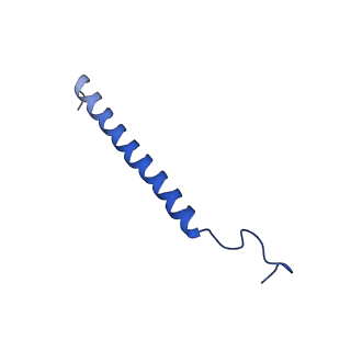 14139_7qsn_c_v1-1
Bovine complex I in lipid nanodisc, Deactive-apo