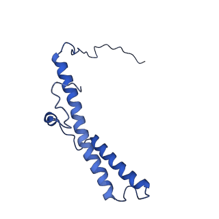 14139_7qsn_d_v1-1
Bovine complex I in lipid nanodisc, Deactive-apo
