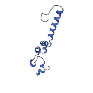 14139_7qsn_e_v1-1
Bovine complex I in lipid nanodisc, Deactive-apo