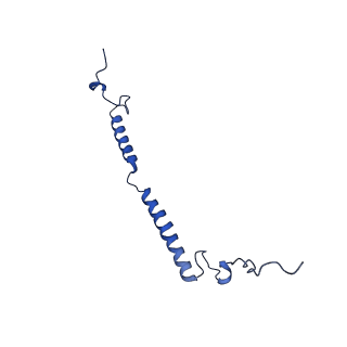 14139_7qsn_g_v1-1
Bovine complex I in lipid nanodisc, Deactive-apo