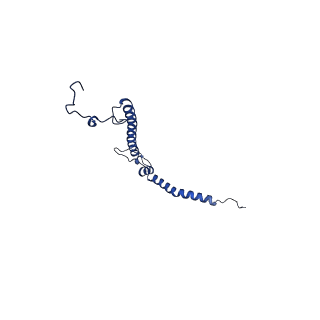 14139_7qsn_h_v1-1
Bovine complex I in lipid nanodisc, Deactive-apo