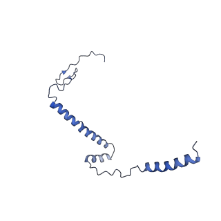 14139_7qsn_i_v1-1
Bovine complex I in lipid nanodisc, Deactive-apo