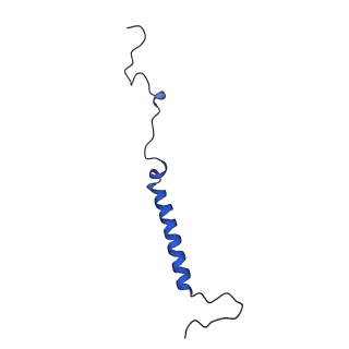14139_7qsn_j_v1-1
Bovine complex I in lipid nanodisc, Deactive-apo