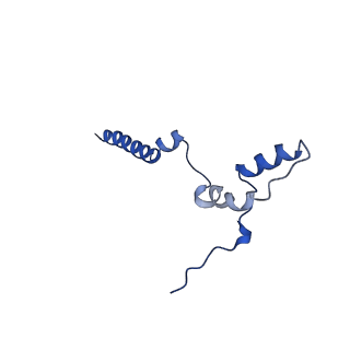 14139_7qsn_k_v1-1
Bovine complex I in lipid nanodisc, Deactive-apo