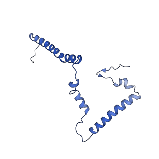 14139_7qsn_m_v1-1
Bovine complex I in lipid nanodisc, Deactive-apo