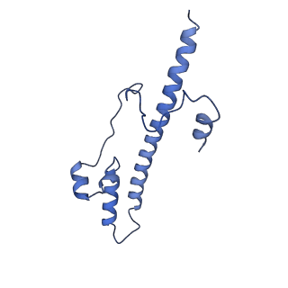 14139_7qsn_o_v1-1
Bovine complex I in lipid nanodisc, Deactive-apo