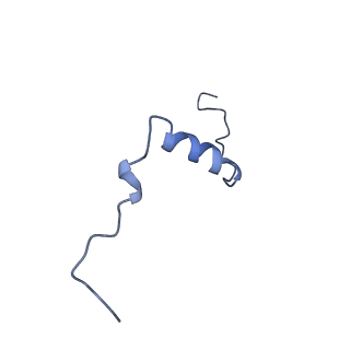 14139_7qsn_s_v1-1
Bovine complex I in lipid nanodisc, Deactive-apo
