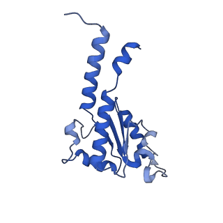 14140_7qso_B_v1-1
Bovine complex I in lipid nanodisc, State 3 (Slack)