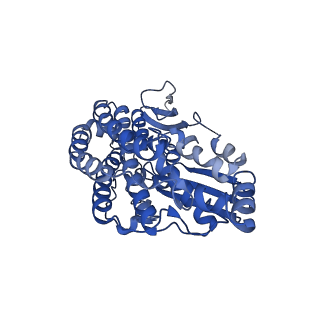 14140_7qso_D_v1-1
Bovine complex I in lipid nanodisc, State 3 (Slack)