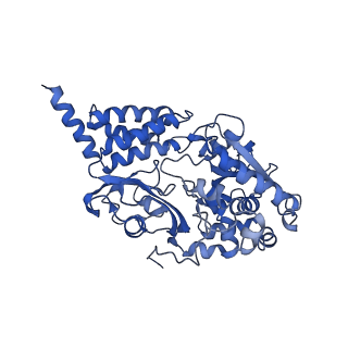 14140_7qso_F_v1-1
Bovine complex I in lipid nanodisc, State 3 (Slack)