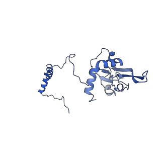 14140_7qso_I_v1-1
Bovine complex I in lipid nanodisc, State 3 (Slack)
