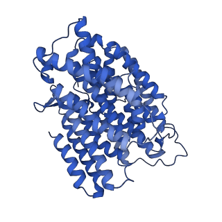 14140_7qso_M_v1-1
Bovine complex I in lipid nanodisc, State 3 (Slack)