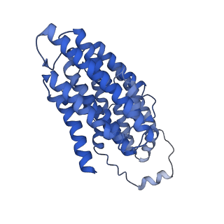 14140_7qso_N_v1-1
Bovine complex I in lipid nanodisc, State 3 (Slack)