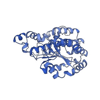 14140_7qso_O_v1-1
Bovine complex I in lipid nanodisc, State 3 (Slack)