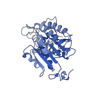 14140_7qso_P_v1-1
Bovine complex I in lipid nanodisc, State 3 (Slack)
