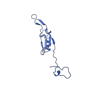 14140_7qso_Q_v1-1
Bovine complex I in lipid nanodisc, State 3 (Slack)