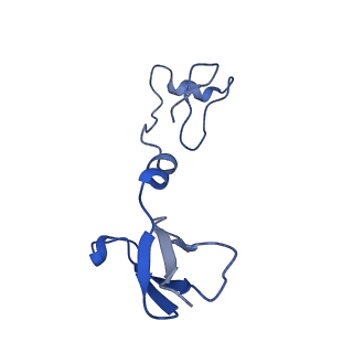 14140_7qso_R_v1-1
Bovine complex I in lipid nanodisc, State 3 (Slack)