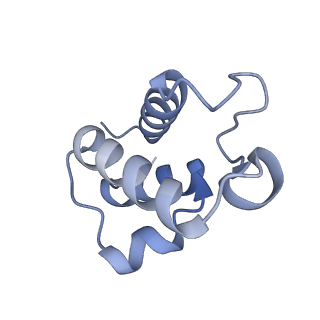 14140_7qso_T_v1-1
Bovine complex I in lipid nanodisc, State 3 (Slack)