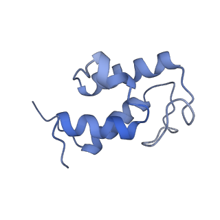 14140_7qso_U_v1-1
Bovine complex I in lipid nanodisc, State 3 (Slack)