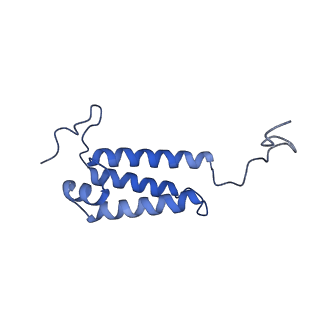 14140_7qso_V_v1-1
Bovine complex I in lipid nanodisc, State 3 (Slack)