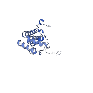 14140_7qso_X_v1-1
Bovine complex I in lipid nanodisc, State 3 (Slack)