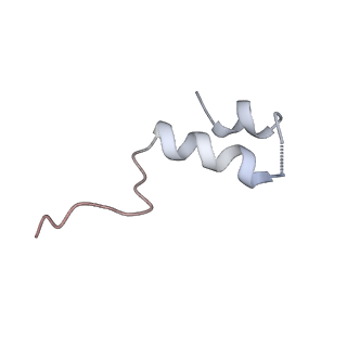 14140_7qso_Y_v1-1
Bovine complex I in lipid nanodisc, State 3 (Slack)